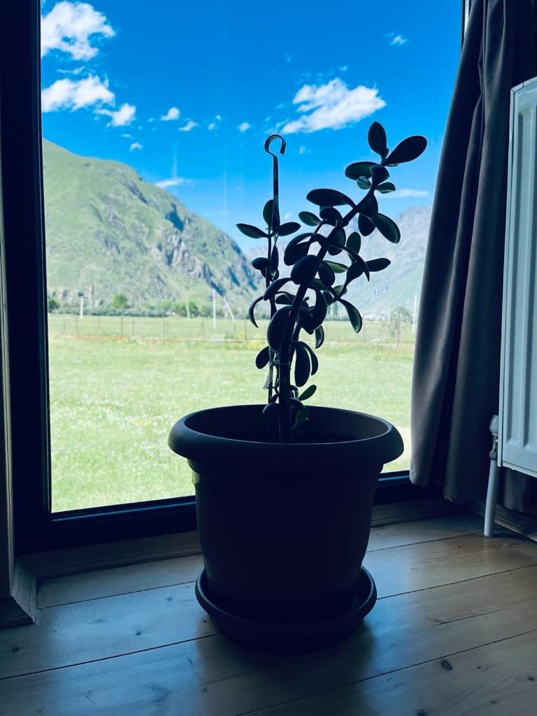 Quiet Cottage, Stepantsminda, Achkhoti Kültér fotó